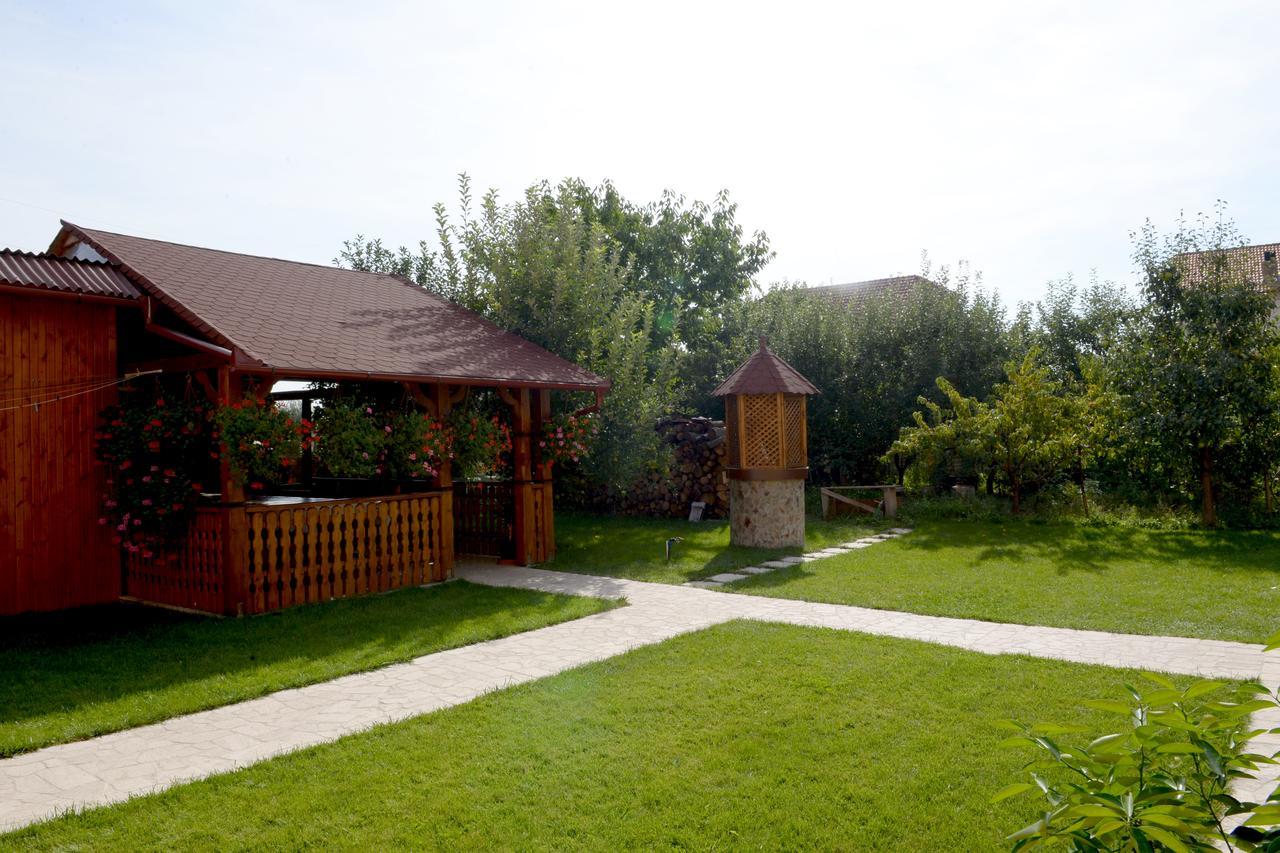 Casa Flora Ξενοδοχείο Sînmartin Εξωτερικό φωτογραφία